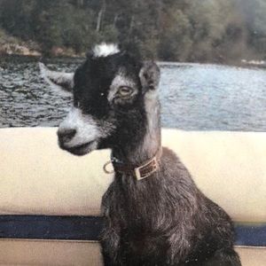 Meet your Posher, Jan